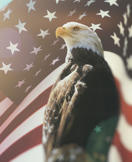 un aigle se trouve devant un drapeau des états unis